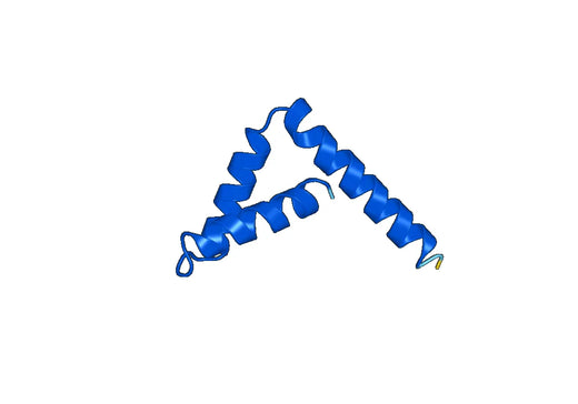Recombinant Human SOX12 Protein, N-His-SUMO
