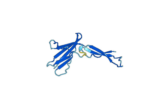 Recombinant Human SPACA1 Protein, N-His