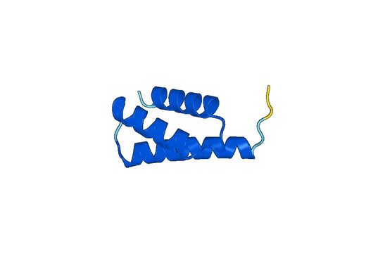Recombinant Human SPATA7 Protein, N-GST & C-His
