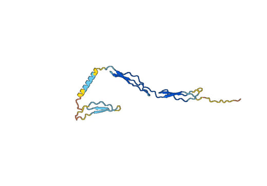 Recombinant Human SPON1, N-His