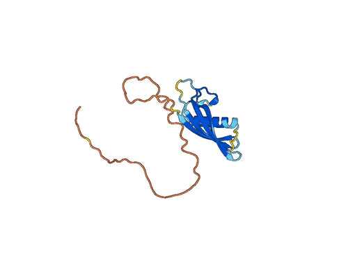 Recombinant Human SPP2, N-His
