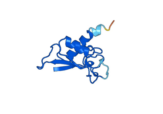 Recombinant Human SRP19 Protein, N-His