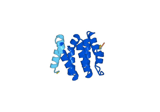 Recombinant Human STAM Protein, N-His-SUMO