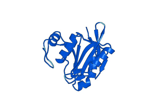 Recombinant Human STAMBPL1/AMSHLP Protein, N-GST & C-His