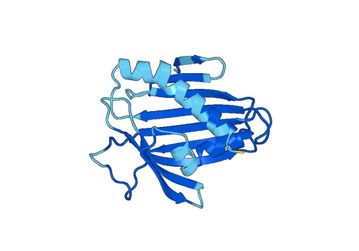 Recombinant Human STARD7 Protein, N-His