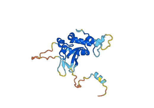 Recombinant Human STAT4, N-His