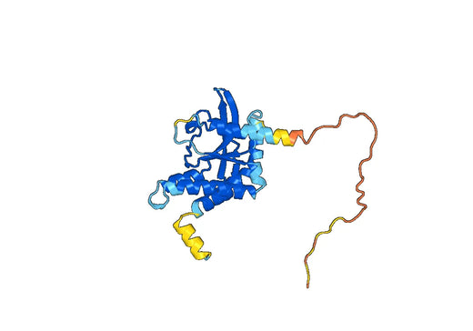 Recombinant Human STING1/TMEM173, N-His