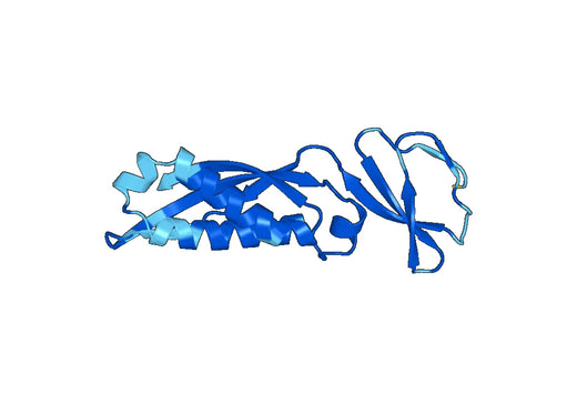 Recombinant Human STOML2 Protein, N-His