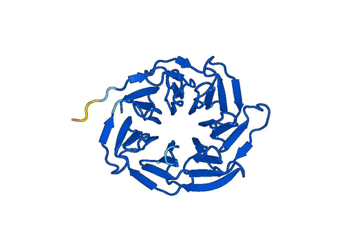 Recombinant Human STRAP Protein, N-His