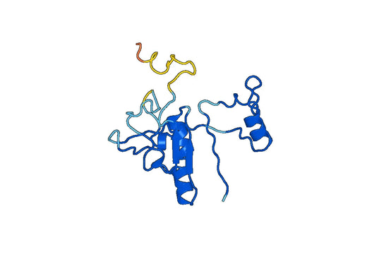 Recombinant Human STS Protein, N-His