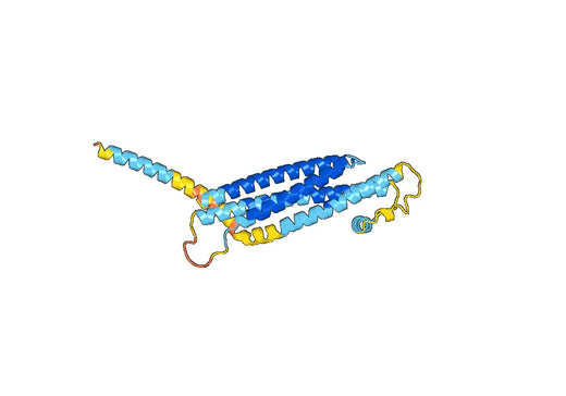 Recombinant Human STX4 Protein, N-His