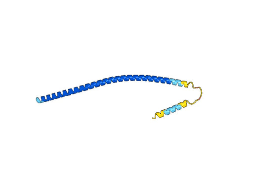 Recombinant Human STX6 Protein, C-His