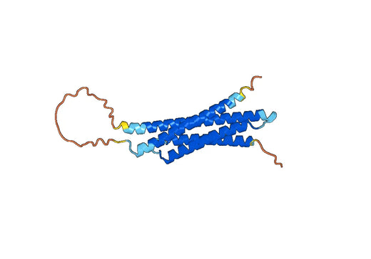 Recombinant Human STX7 Protein, N-His