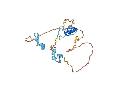 Recombinant Human SULF2, N-GST