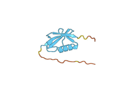 Recombinant Human SUMO1, N-His