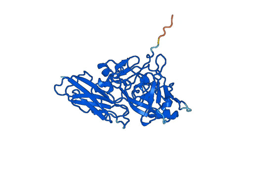 Recombinant Human SUOX Protein, N-His