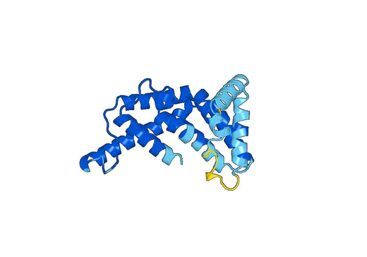 Recombinant Human SYNGAP1 Protein, N-His