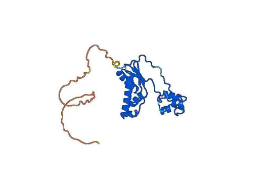 Recombinant Human TAB1, N-His