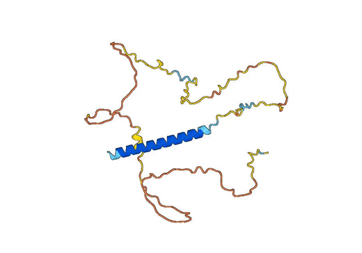 Recombinant Human TANK, N-His