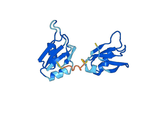Recombinant Human TARDBP, N-His