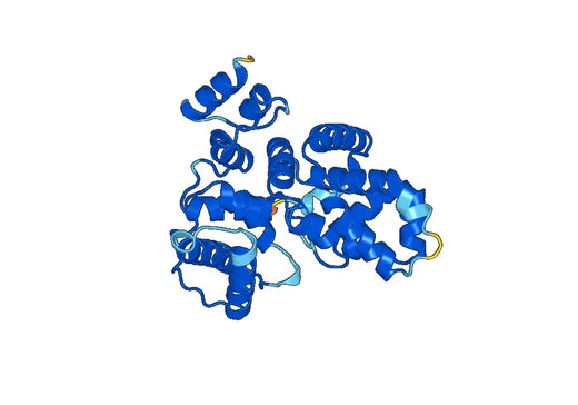 Recombinant Human TBC1D23 Protein, N-His