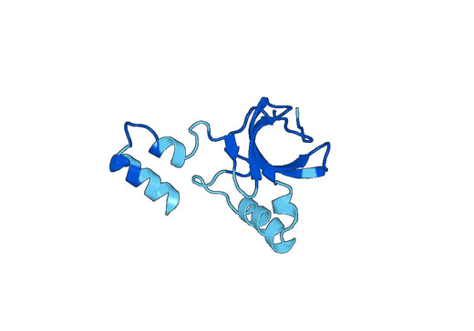 Recombinant Human TBK1, N-His