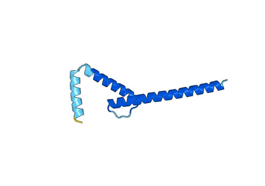 Recombinant Human TCF12 Protein, N-His-SUMO & C-Strep