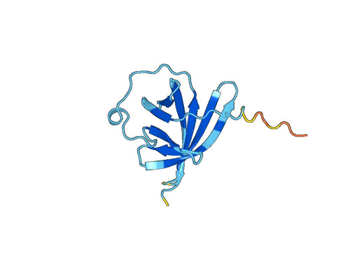 Recombinant Human TCL1A, N-His