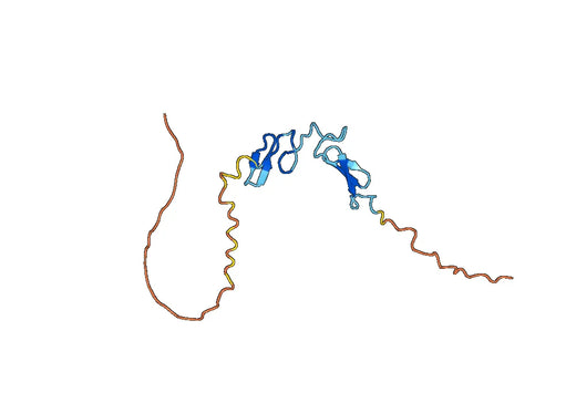 Recombinant Human TDGF1/CRIPTO Protein, C-His