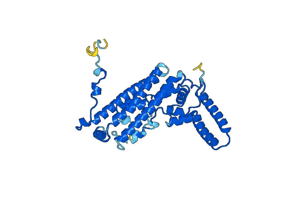 Recombinant Human TDO2 Protein, N-His