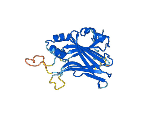 Recombinant Human TEAD2 Protein, N-His