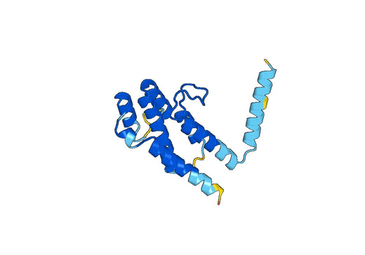Recombinant Human TERF1 Protein, N-His