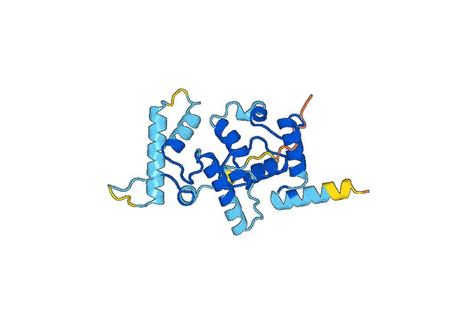 Recombinant Human TESC Protein, N-His