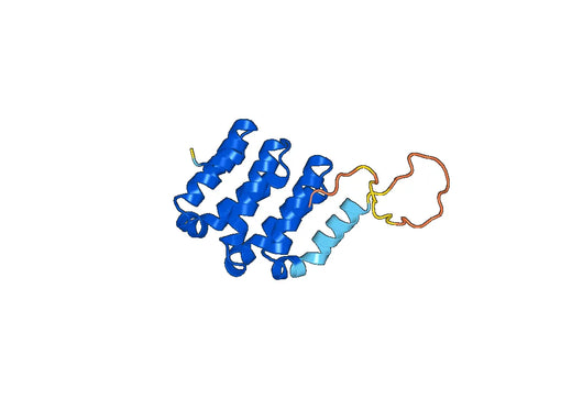 Recombinant Human TEX10 Protein, N-His