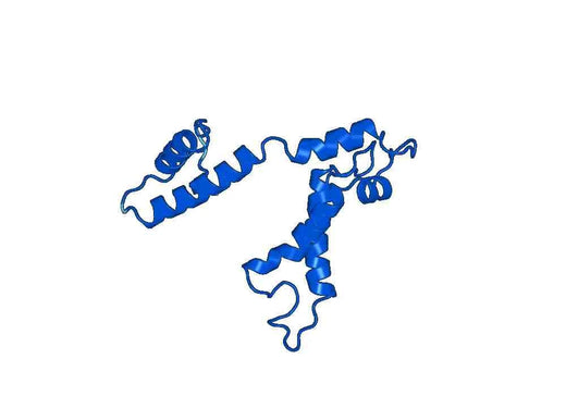 Recombinant Human THOP1, N-His