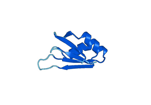 Recombinant Human TIA1 Protein, N-GST & C-His