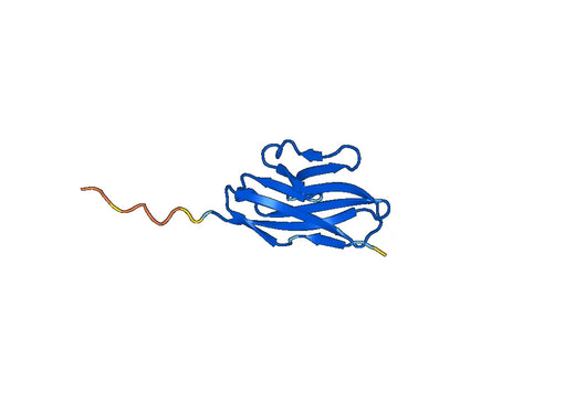 Recombinant Human TIGIT, N-His