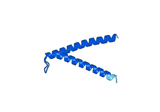 Recombinant Human TIMM13 Protein, N-His-SUMO