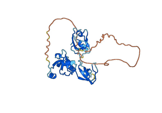Recombinant Human TJP2, N-His