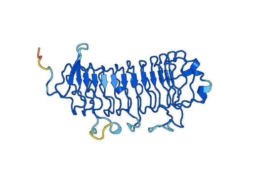 Recombinant Human TLR7, N-His