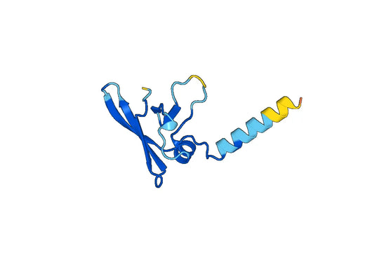 Recombinant Human TMEM70 Protein, N-His-SUMO