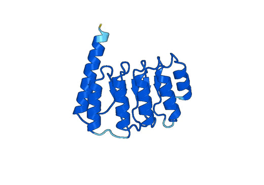 Recombinant Human TMOD4 Protein, N-His