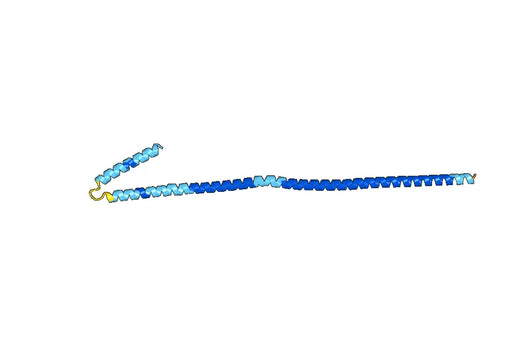 Recombinant Human TNIP2, N-His