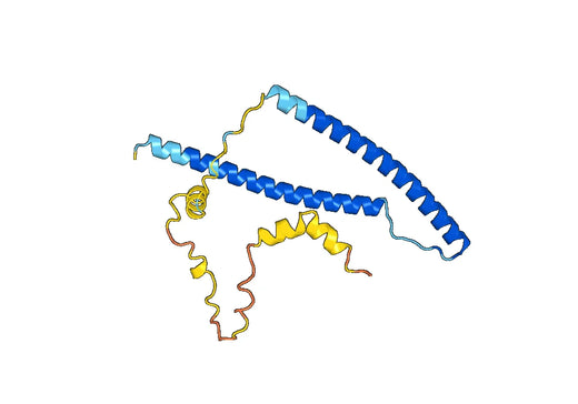 Recombinant Human TNNI2, N-His