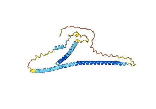 Recombinant Human TNNT1, N-His