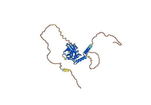 Recombinant Human TP53/p53 Protein, N-GST