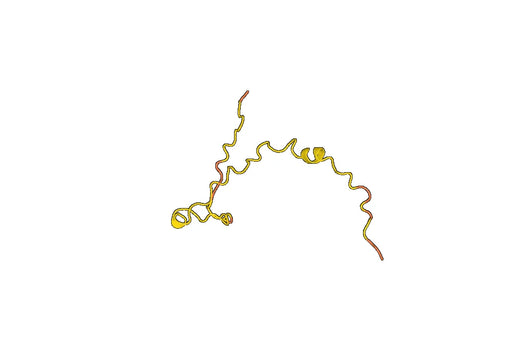 Recombinant Human TP53TG5, N-GST