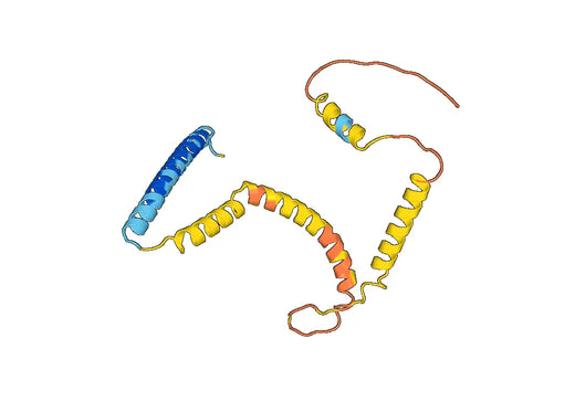 Recombinant Human TPD52L1 Protein, N-His