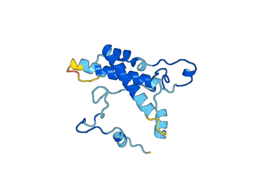 Recombinant Human TPO, N-His