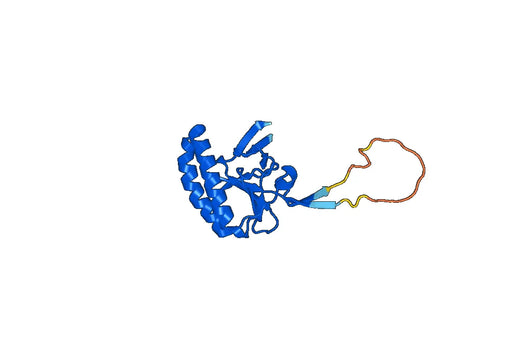 Recombinant Human TPT1, N-His